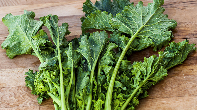 Brassica_rapa.jpg