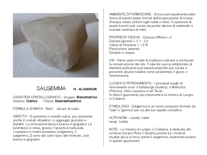 salgemma.pdf