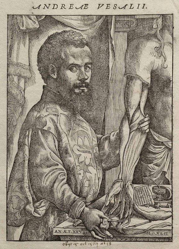 vesalio_2.jpg