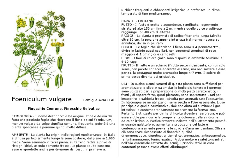 Foeniculum_vulgare.pdf