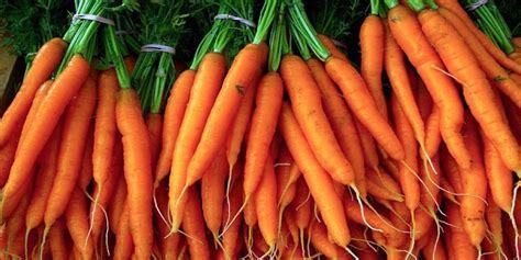 Daucus_carota_3.jpg