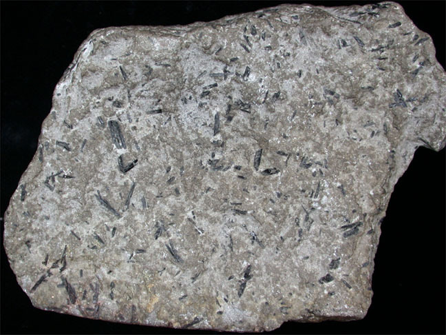 andesite iperstenica2.jpg
