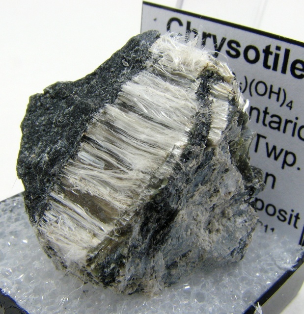 crisotilo_b.jpg