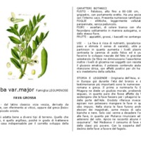 Vicia_faba var. major.pdf