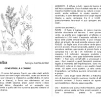 Osyris_alba.pdf