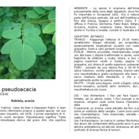 Robinia_pseudoacacia.pdf Robinia_pseudoacacia.pdf