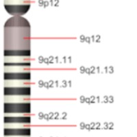 Trisomia9p_1.jpg