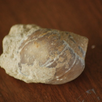 DSC_0502.JPG