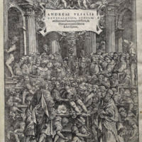 vesalio_1.jpg