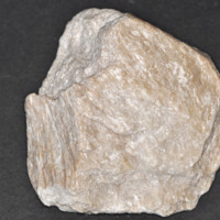 talco_1.jpg