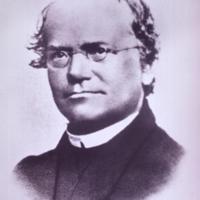 mendel_1.jpg