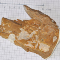 calcedonio_1.jpg