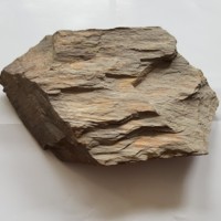 calcescisto_1.jpg