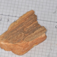 opale_xiloide_1.jpg
